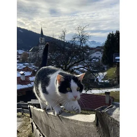 Hindelang 3 Appartement
